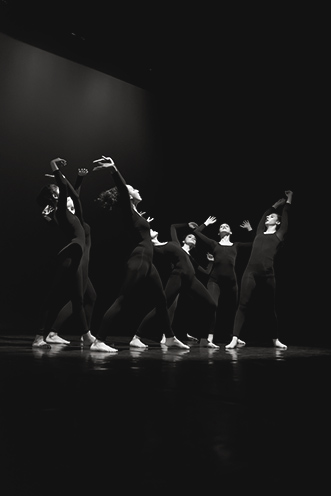 # Ulisse Albiati Photographer: Dance theory is the philosophy concerning the contemporary dance: it includes formal ideologies, aesthetic concepts and technical characteristics. Danse Arlequin, Rifredi theatre in Florence, Tuscany.