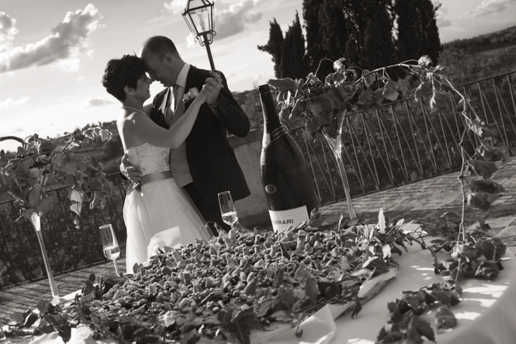 # The engaged couple in a waltz above the wedding cake.